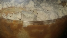 Cuca de doce de leite