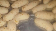 Biscoito de queijo prático