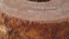 Bolo de abacaxi simples