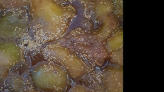 Doce de figo da roça 