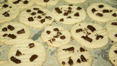 Cookies pingos de chocolate
