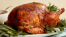 Peru bêbado na cerveja