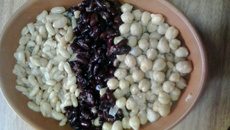 Grão de bico da Michele