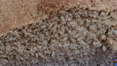 Pão de aveia, fibra de trigo e mel