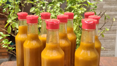 Molho de pimenta malagueta