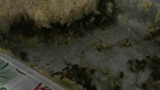 Escondidinho de proteína de soja