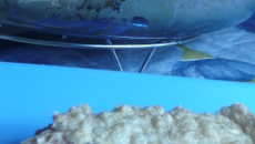 Torta de frango fácil