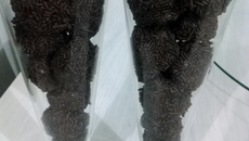 Bombom de brigadeiro com morango