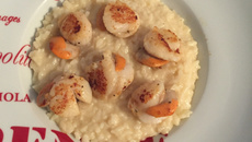 Risoto com coquille saint jacques