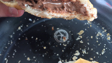 Torrada de chocolate