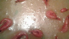 Caldo de aipim com camarão, carne seca, nacon e linguiça