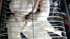 Tilápia simples assada na brasa