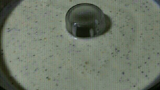 Mousse de maracujá de liquidificador