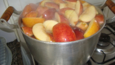 Cidra de Maçã (Apple Cider)