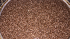 Bolo de chocolate de colher da Cris