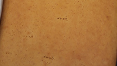 Bolo de Fubá com Canela