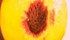 Torta de pessegos (peach pie)