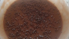 Brigadeiro de colher