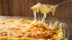 Fricassê de Frango com mussarela