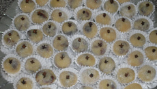 Docinhos com uva passa