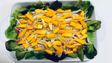 Salada de Kani com Manga