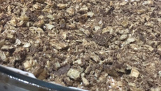 Pavê de wafer coberto de chocolate da Vivian