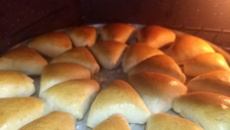 ESFIHA SHOW DO MARCIO GOMES 