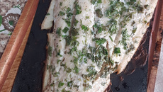 Filé bacalhau na grelha