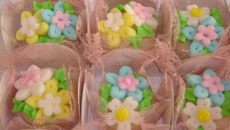 Docinhos fondados de nozes