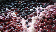 Suco de uva preta da Jussara