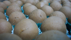 Docinho de leite em pó com Toddy