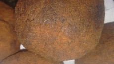 Bolinho de ovo - Bolovo