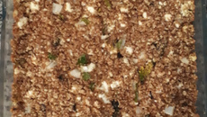 Quibe assado de ricota