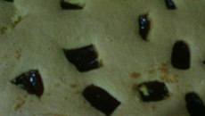 Bolo de milho da vó Ci