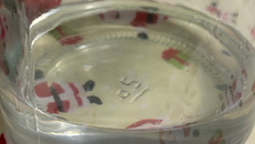 Óleo de coco a frio 100% puro