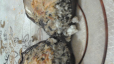 Berinjela recheada com ricota, esinafre e berinjela