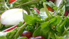 Asazuke de rabanete (conserva japonesa rápida de rabanete)