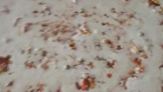 Biscoito frito de queijo