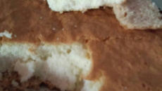 Brevidade ou Madalena