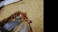 Torta de salsicha rápida