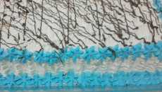 Bolo de aniversário