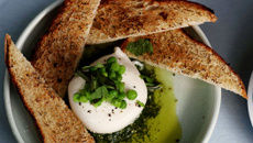 Burrata com molho pesto