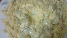 Parafuso com frango e creme de brócolis