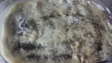 Torta de bolacha de coco