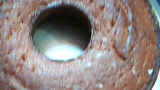 Bolo amanteigado de laranja