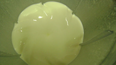 Maionese caseira de leite da Micheli !