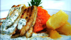 Jacaré à Potiguares