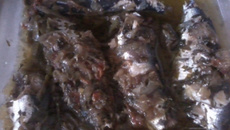 Sardinha deliciosa na pressão