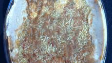 Camarão com Catupiry da tia Nana