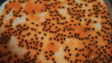 Mousse de maracujá (fácil, rápido e gostoso)